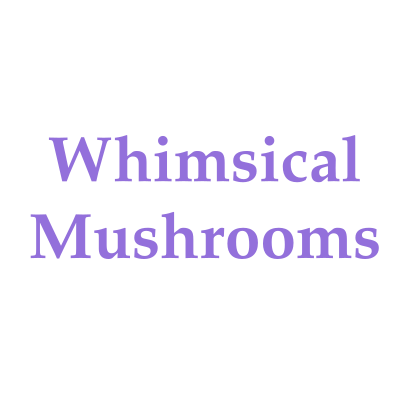 Whimsical Mushrooms 2024