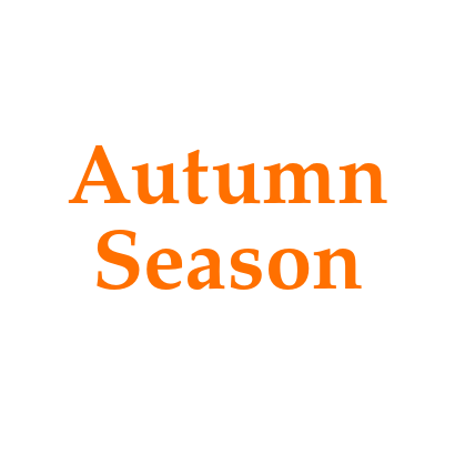 Autumn Collection 2021