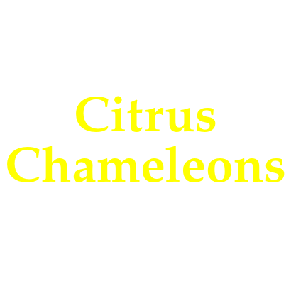 Retro citrus and chameleons