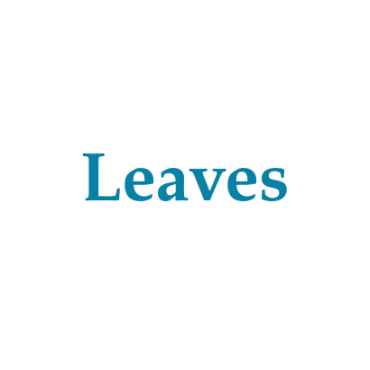 Leaves 2021