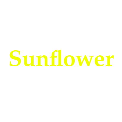 Sunflower 🌻 collection 2023