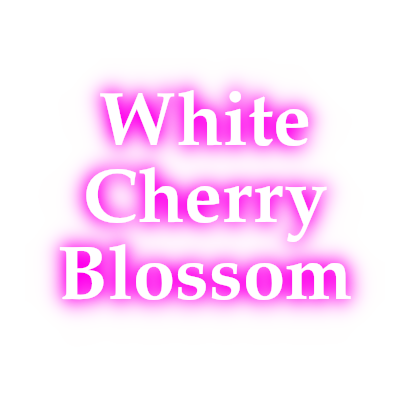 White Cherry Blossom